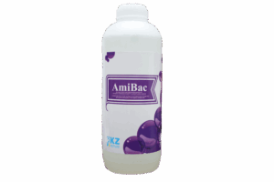 Дезинфицирующее средство с моющим эффектом AmiBac